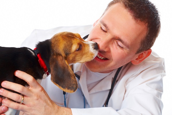Советы ветеринара собаководу